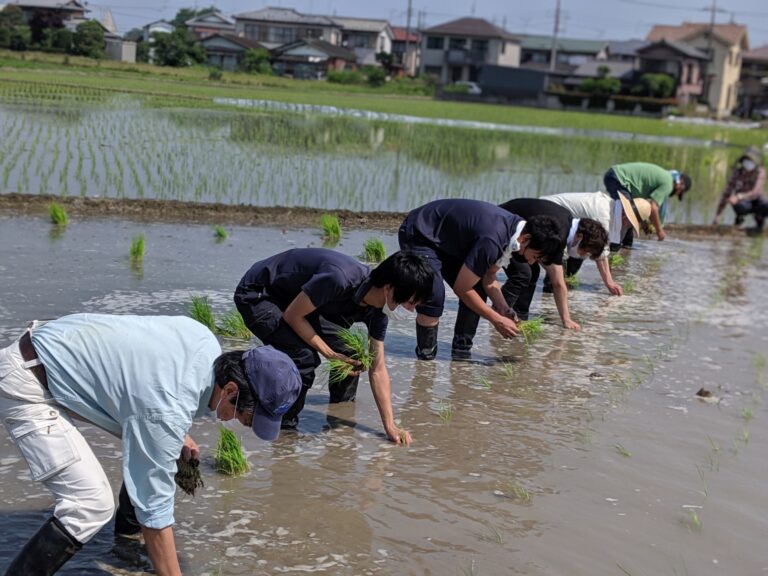 田植えだよ！